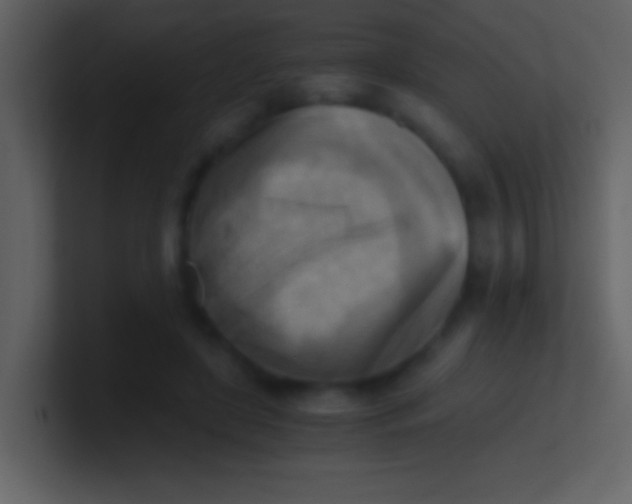 X0000100930451200807081216