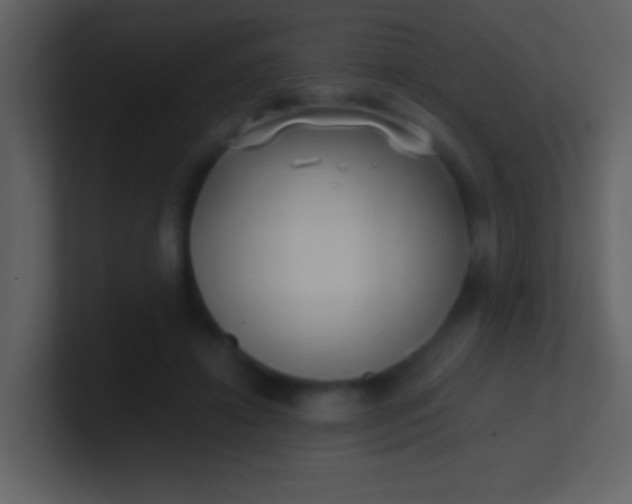 X0000100930452200807081216