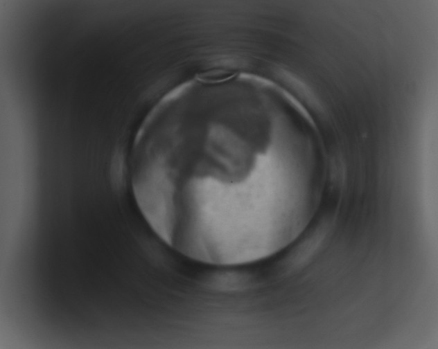 X0000100930453200807081216