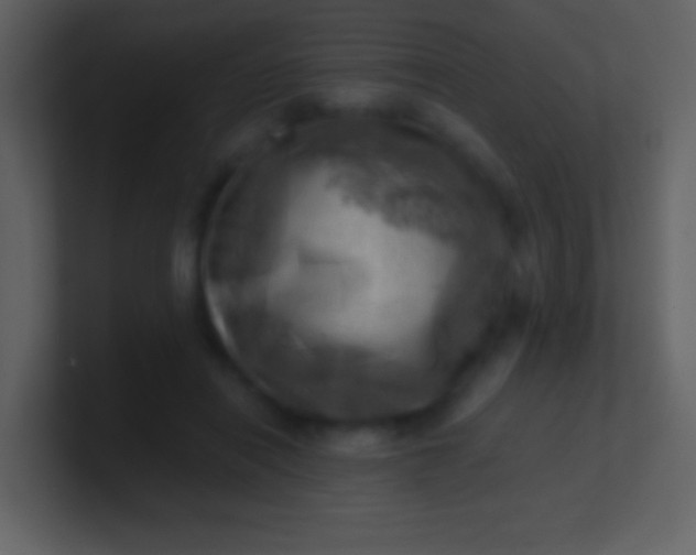 X0000100930454200807081216