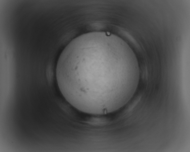 X0000100930455200807081216