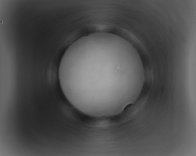 X0000100930456200807081216