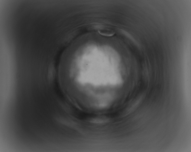 X0000100930459200807081216