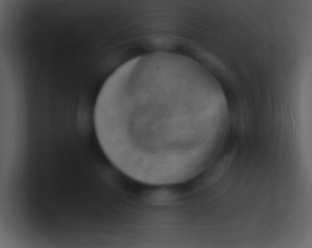 X0000100930460200807081216