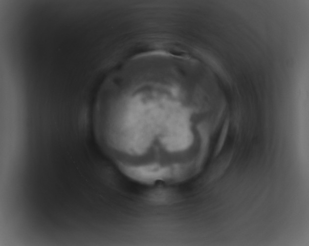 X0000100930461200807081216