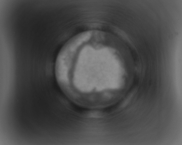 X0000100930462200807081216