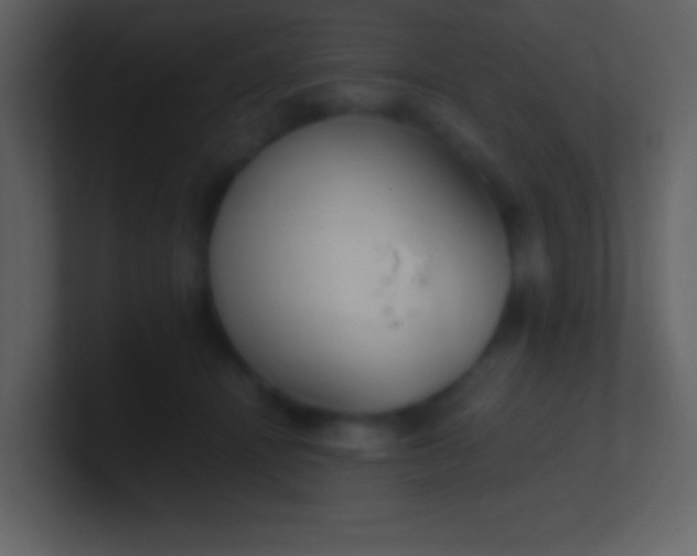 X0000100930464200807081216