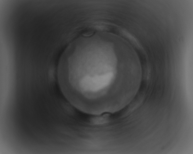 X0000100930465200807081216