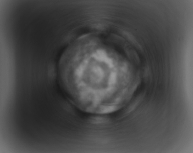 X0000100930466200807081216