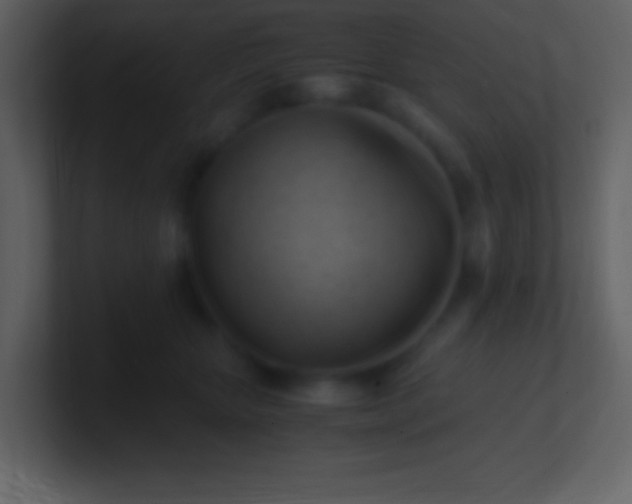 X0000100930467200807081216