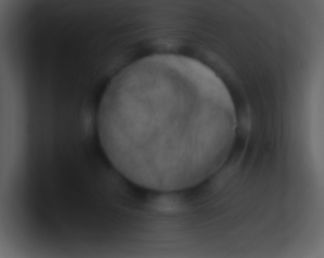 X0000100930468200807081216