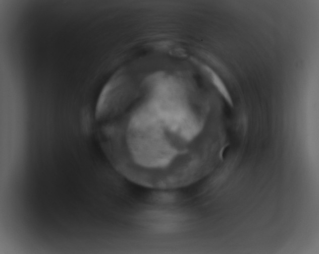 X0000100930469200807081217