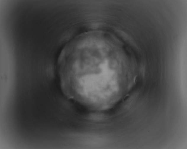 X0000100930470200807081217