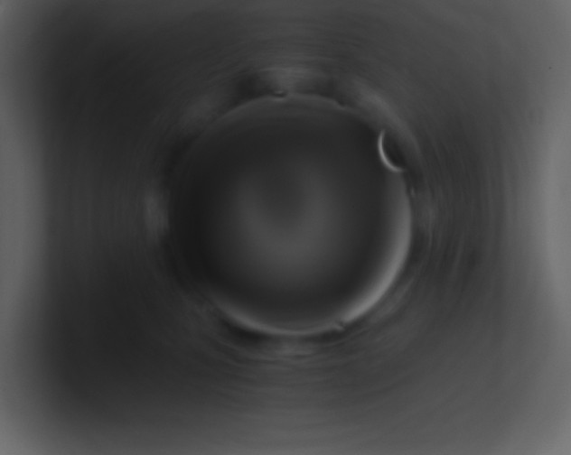 X0000100930471200807081217