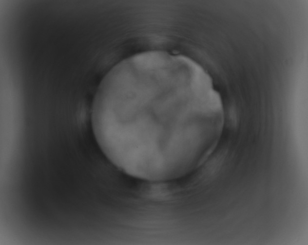 X0000100930472200807081217