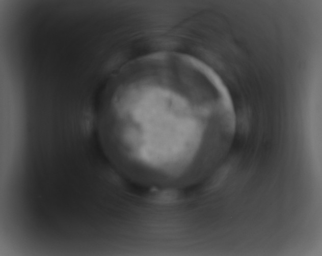 X0000100930474200807081217