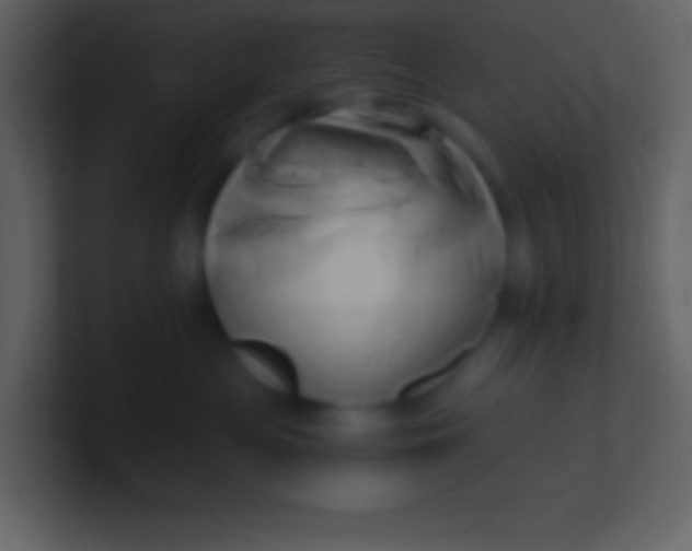 X0000100930477200807081217