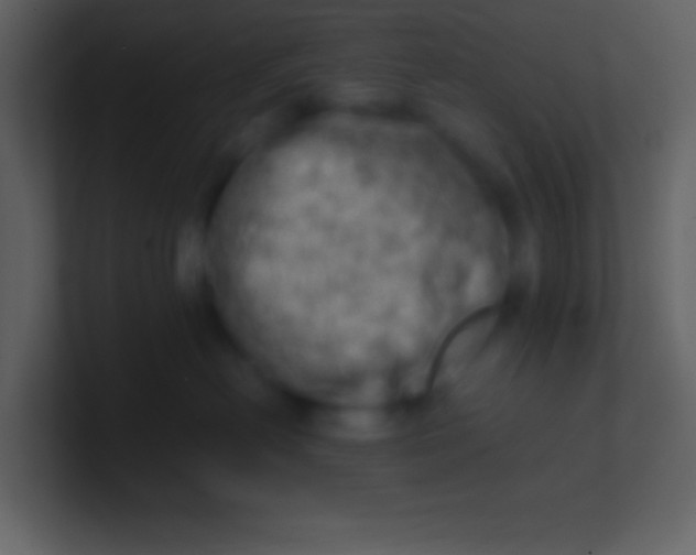 X0000100930478200807081217