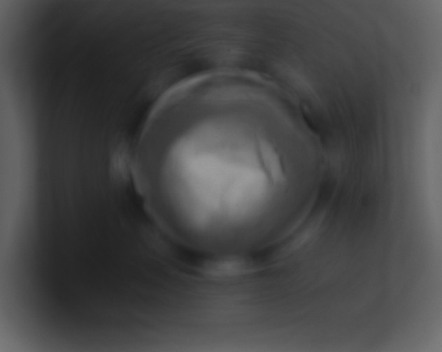 X0000100930479200807081217