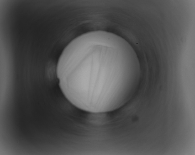 X0000100930480200807081217