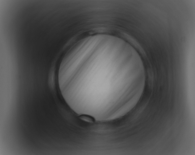 X0000100930482200807081216