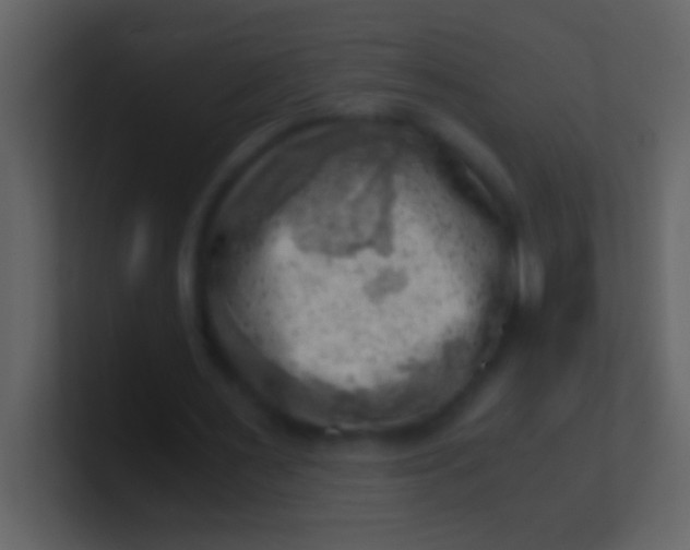 X0000100930483200807081216