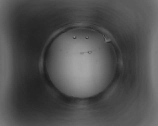 X0000100930484200807081216