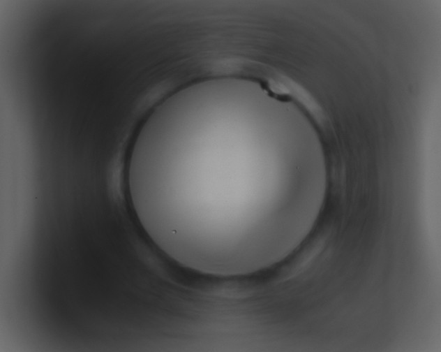 X0000100930485200807081216