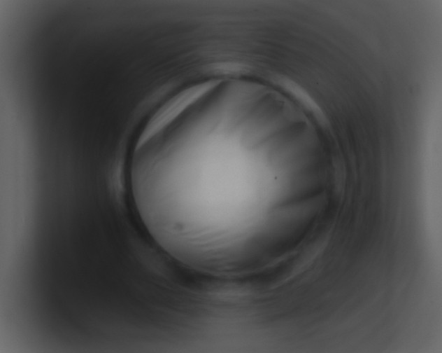 X0000100930486200807081216