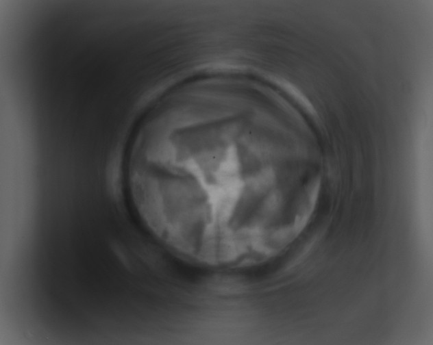 X0000100930487200807081216