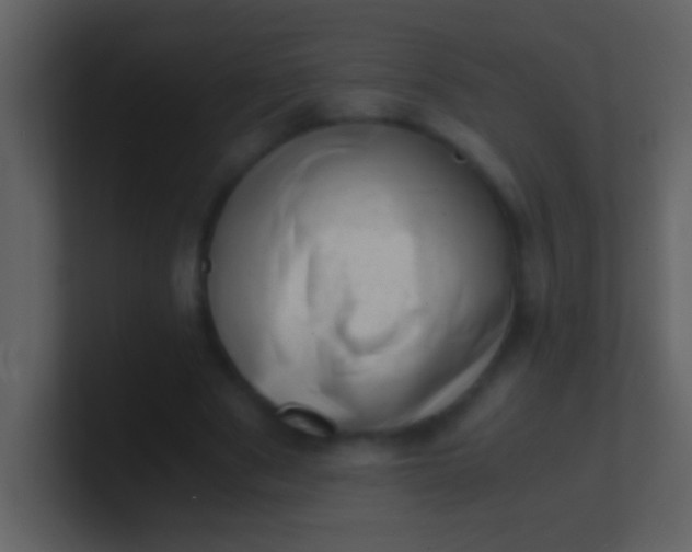 X0000100930489200807081216