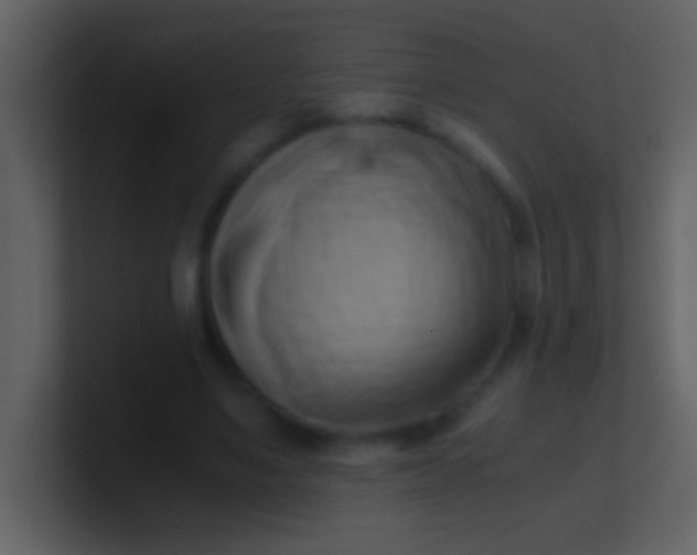 X0000100930491200807081216