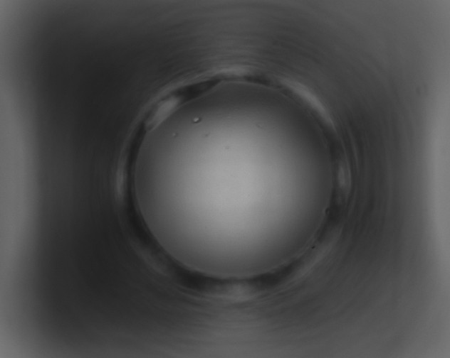 X0000100930492200807081216