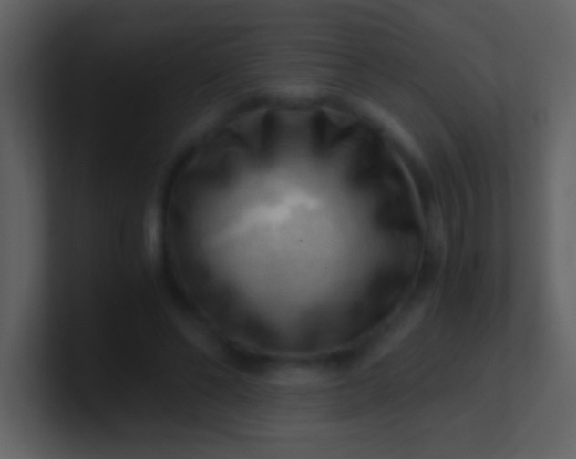 X0000100930494200807081216