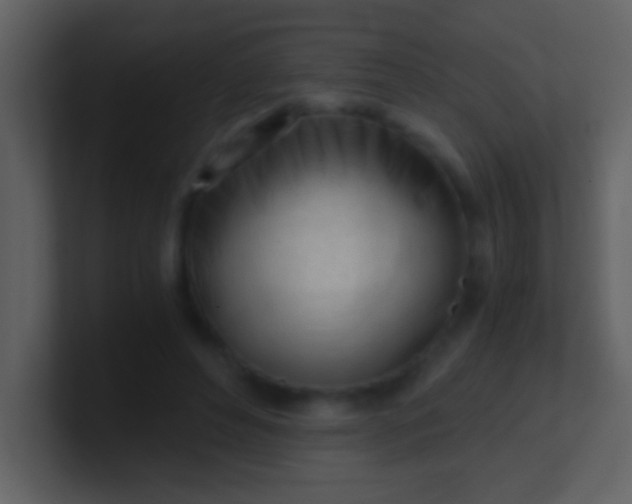 X0000100930496200807081216