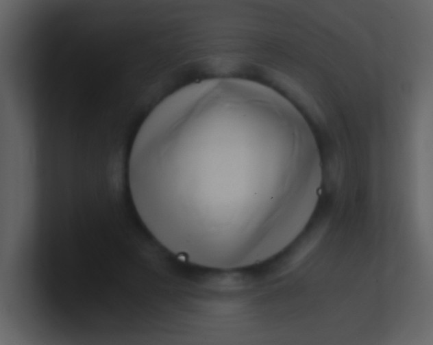 X0000100930497200807081216