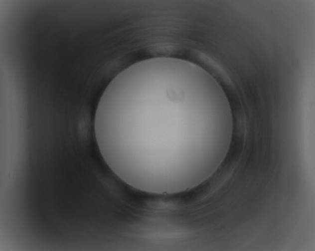 X0000100930498200807081216