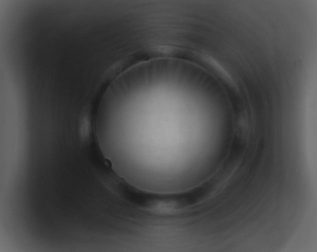 X0000100930500200807081216