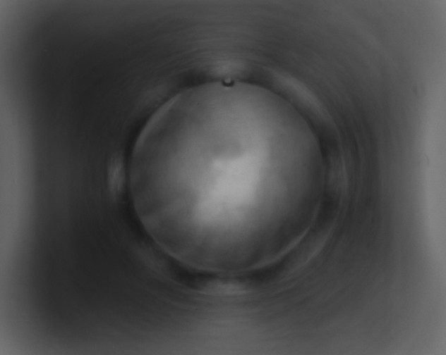 X0000100930502200807081216