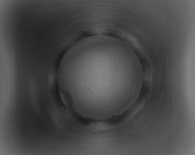 X0000100930503200807081216