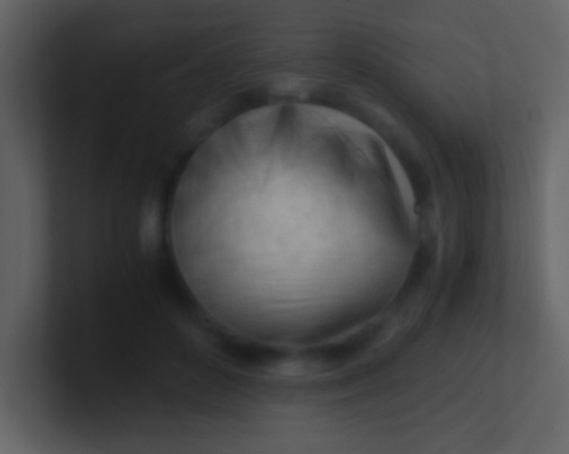 X0000100930504200807081216