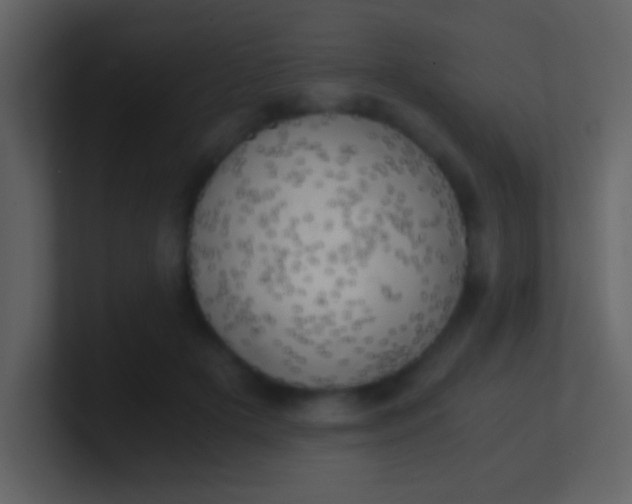 X0000100930505200807081216