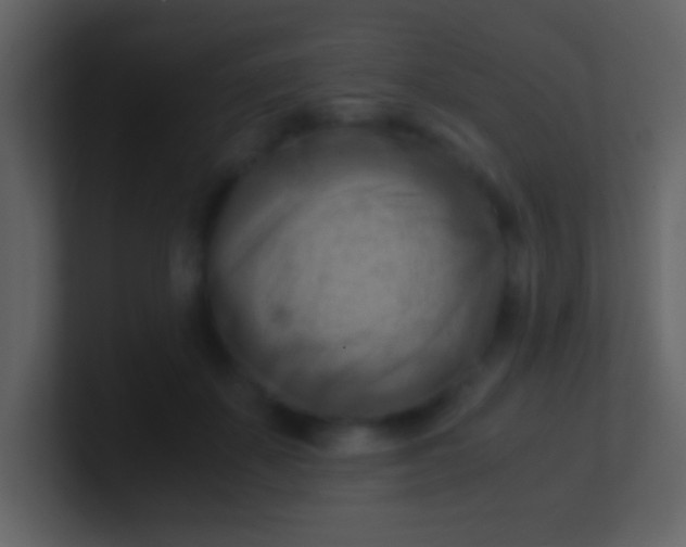 X0000100930507200807081216