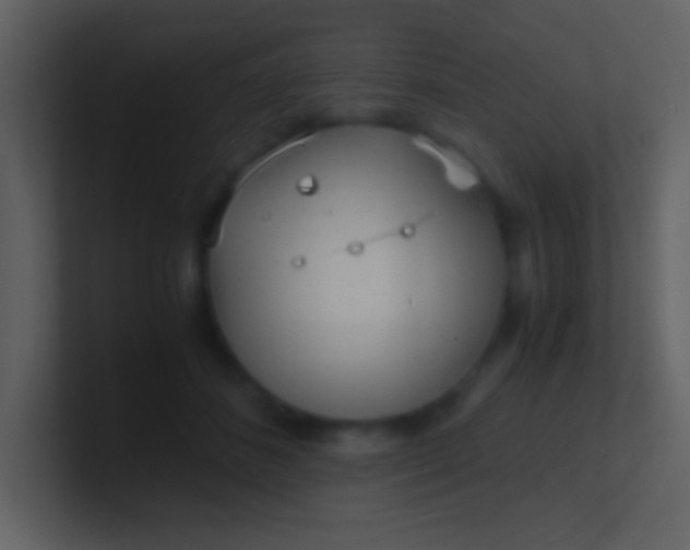 X0000100930508200807081216