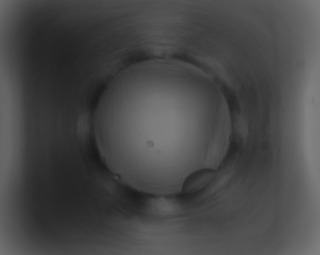 X0000100930511200807081216