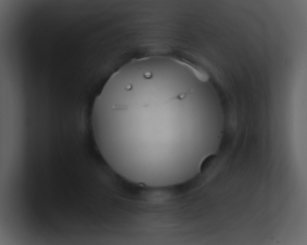 X0000100930512200807081216