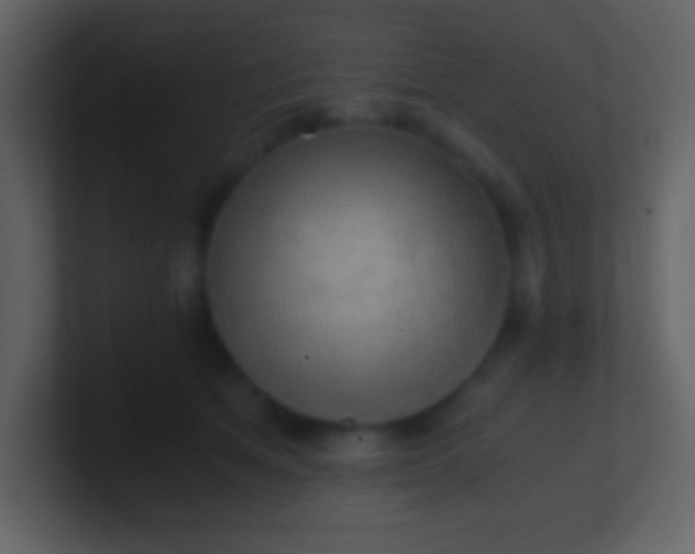 X0000100930513200807081216