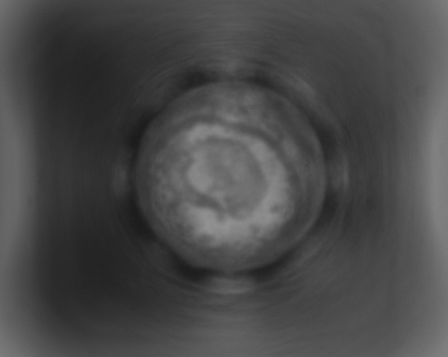 X0000100930515200807081216