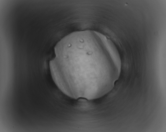 X0000100930516200807081216