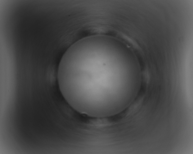 X0000100930517200807081215